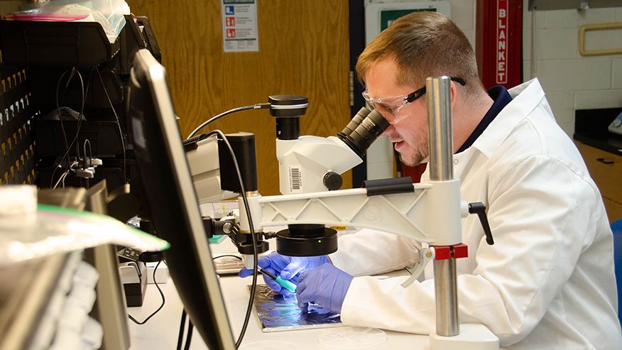 A researcher looks through a microscope to view a specimen in a lab.