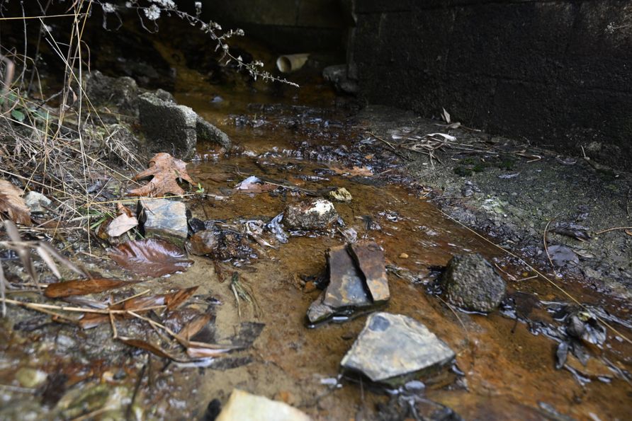 Rocks and leaves shown in a small stream near a building structure