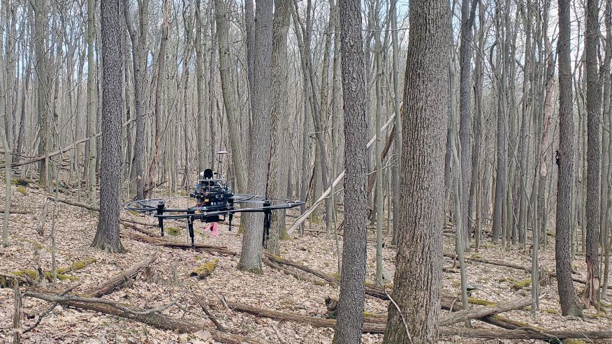 Trees and fallen logs in the background behind a flying drone