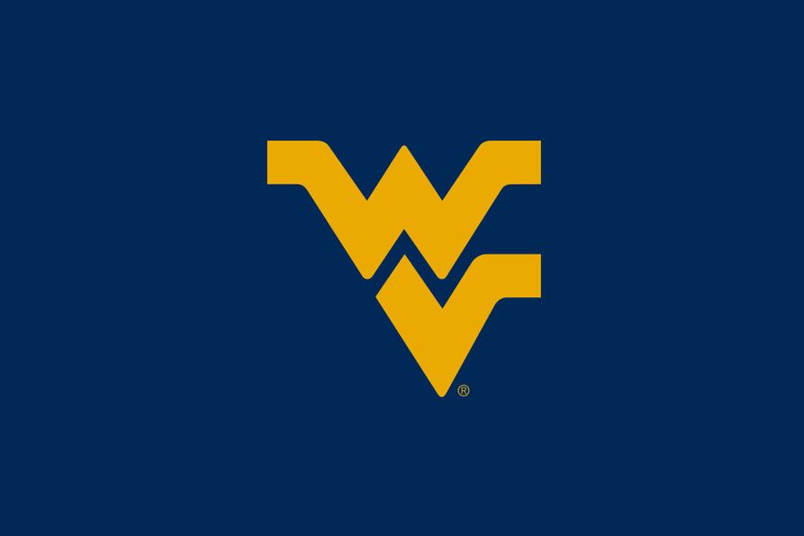 This is an image of the flying WV logo used when a media article has no media accompanying it.