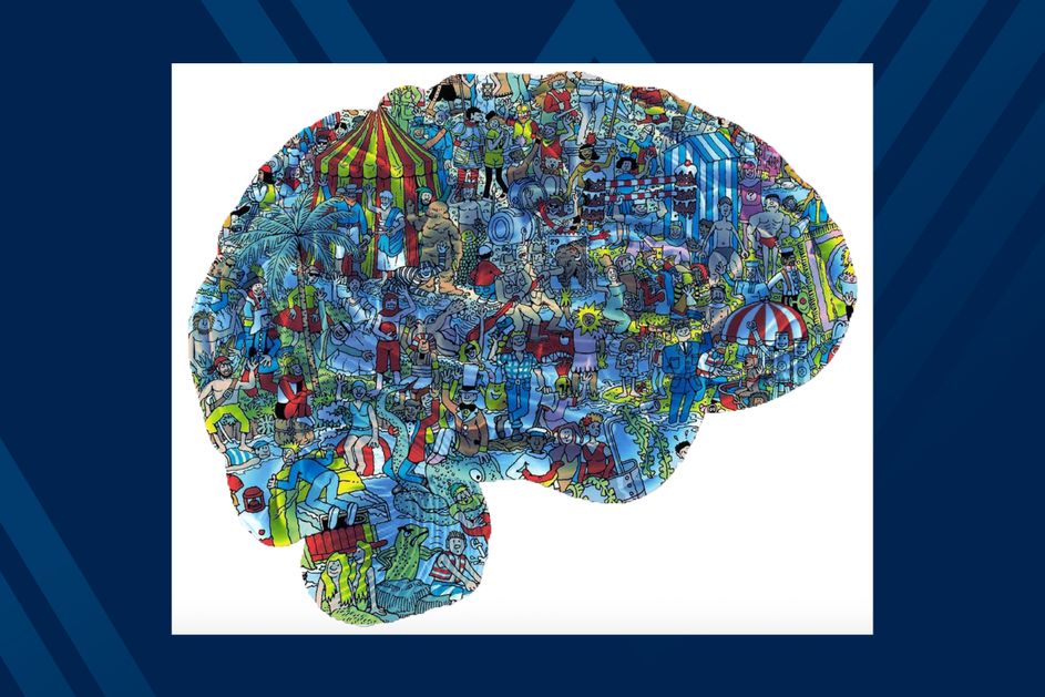 Illustration of brain with popular "where's Waldo" artwork inside of the brain.