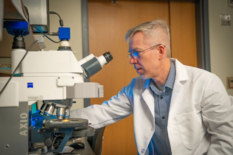 Professor David Klinke looks into a microscope