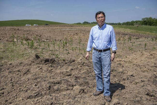 Jingxin Wang stands in a field